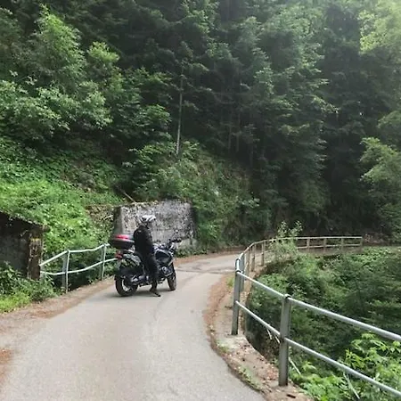 Casa de hóspedes Gaestehaus Steinerhof