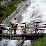 בית הארחה Gaestehaus Steinerhof 3*