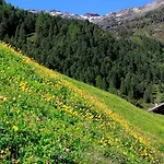 בית הארחה Gaestehaus Steinerhof 3*