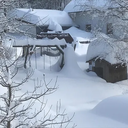 Gaestehaus Steinerhof ゲストハウス Nikolsdorf