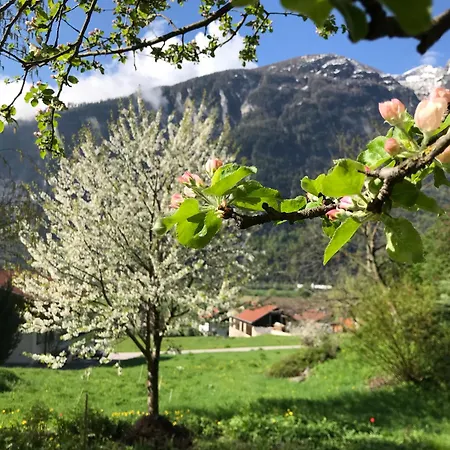 בית הארחה Gaestehaus Steinerhof 3*