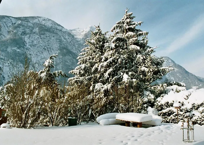 Gaestehaus Steinerhof