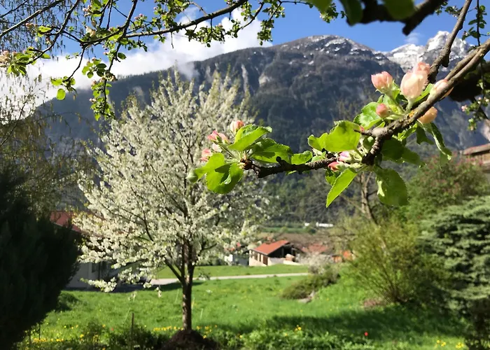 بيت ضيافة Gaestehaus Steinerhof 3*