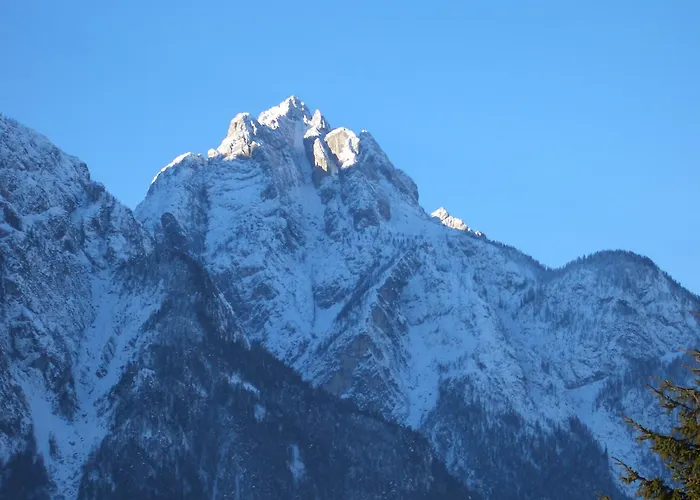 بيت ضيافة Gaestehaus Steinerhof Nikolsdorf