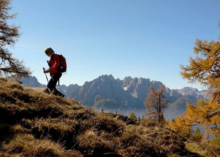 بيت ضيافة Gaestehaus Steinerhof Nikolsdorf