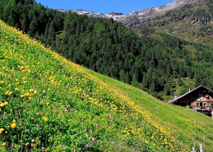 بيت ضيافة Gaestehaus Steinerhof 3*